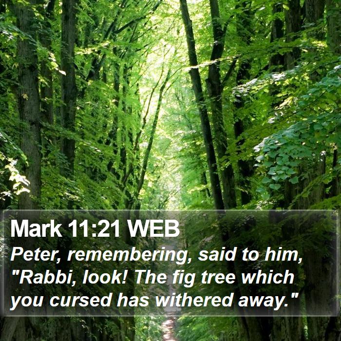 Mark 11:21 WEB Bible Study