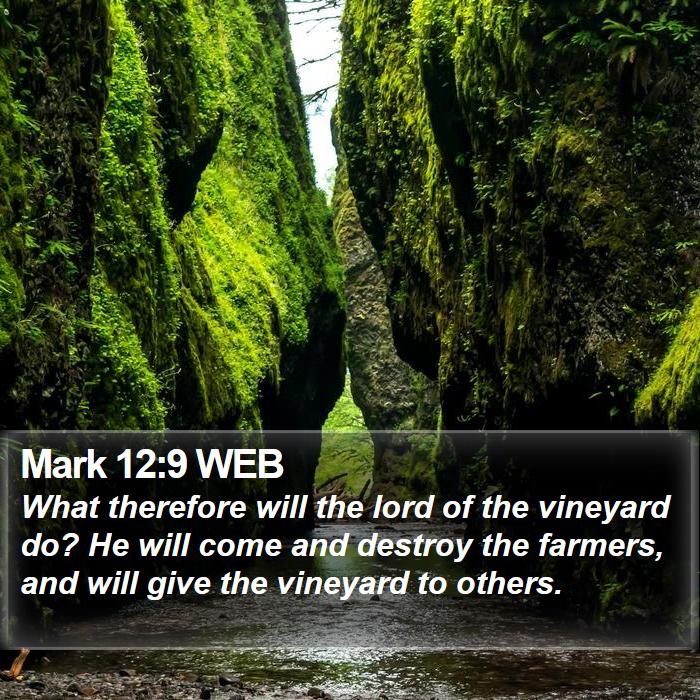 Mark 12:9 WEB Bible Study