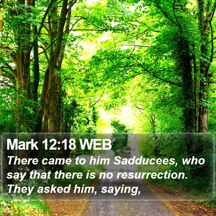 Mark 12:18 WEB Bible Study