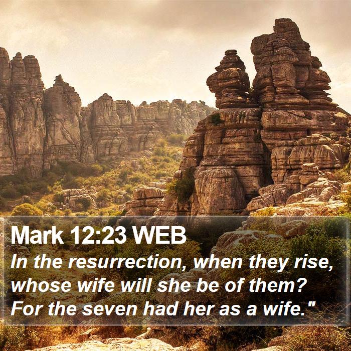 Mark 12:23 WEB Bible Study