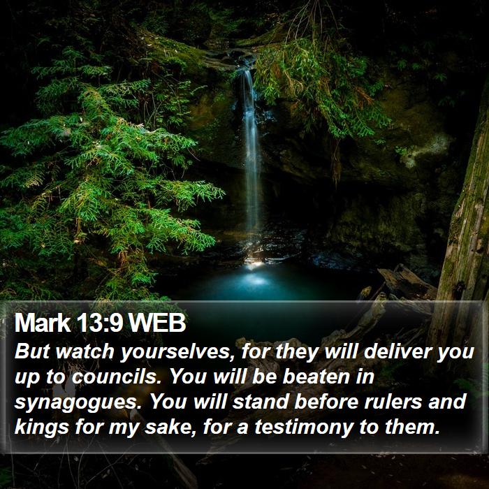 Mark 13:9 WEB Bible Study