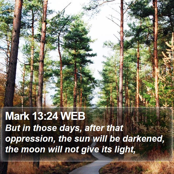 Mark 13:24 WEB Bible Study