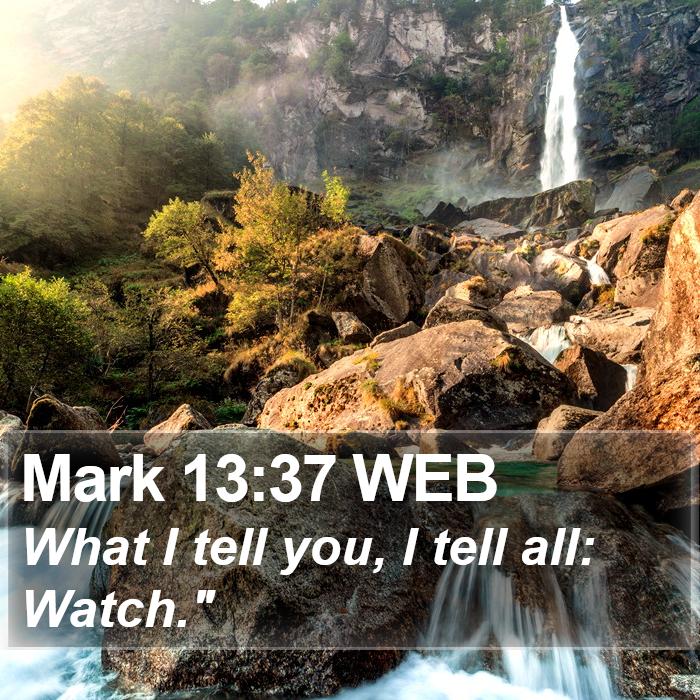 Mark 13:37 WEB Bible Study