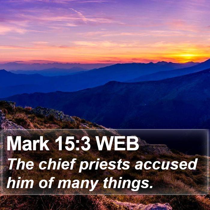 Mark 15:3 WEB Bible Study