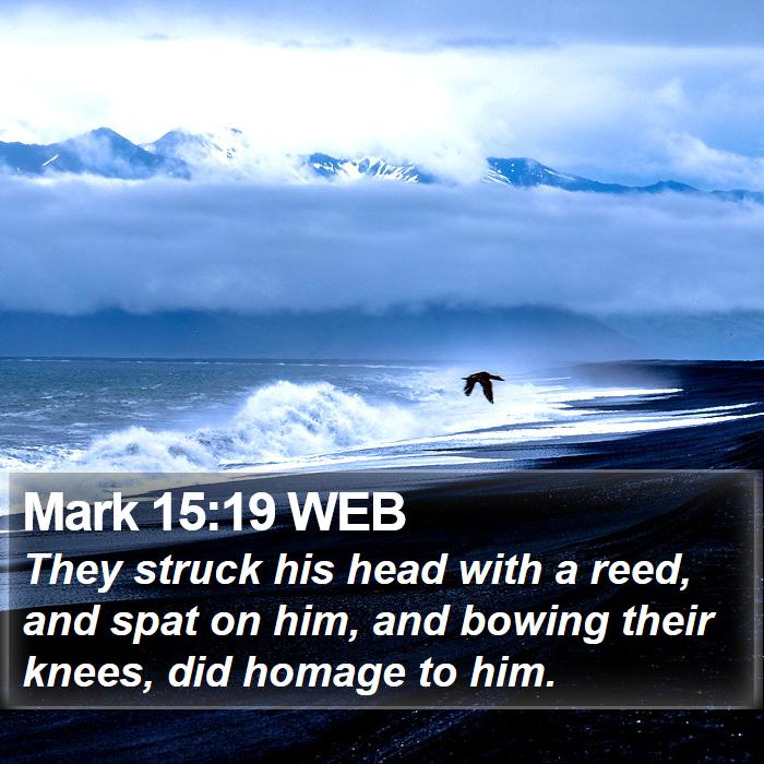 Mark 15:19 WEB Bible Study