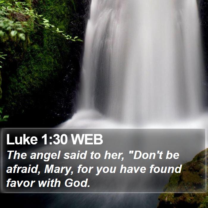 Luke 1:30 WEB Bible Study