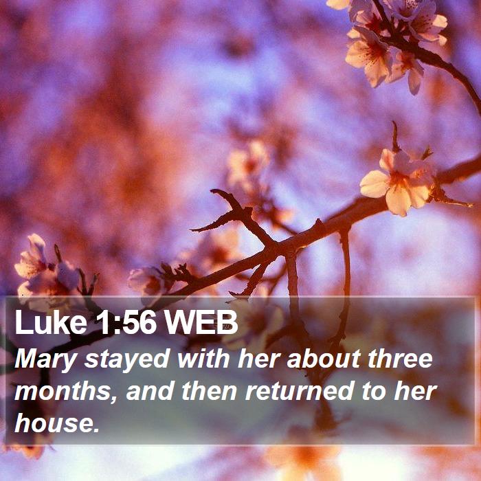 Luke 1:56 WEB Bible Study