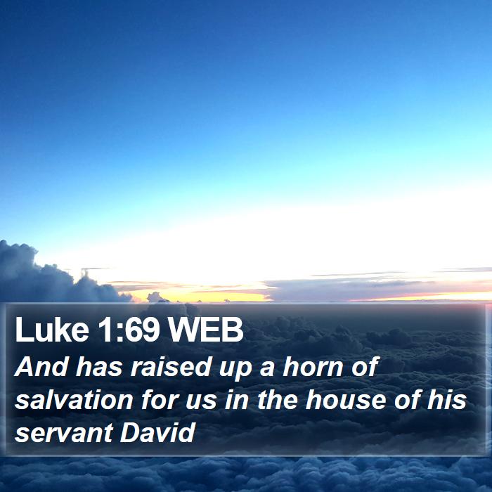 Luke 1:69 WEB Bible Study