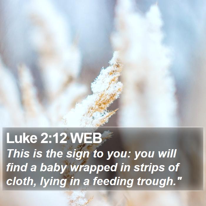 Luke 2:12 WEB Bible Study