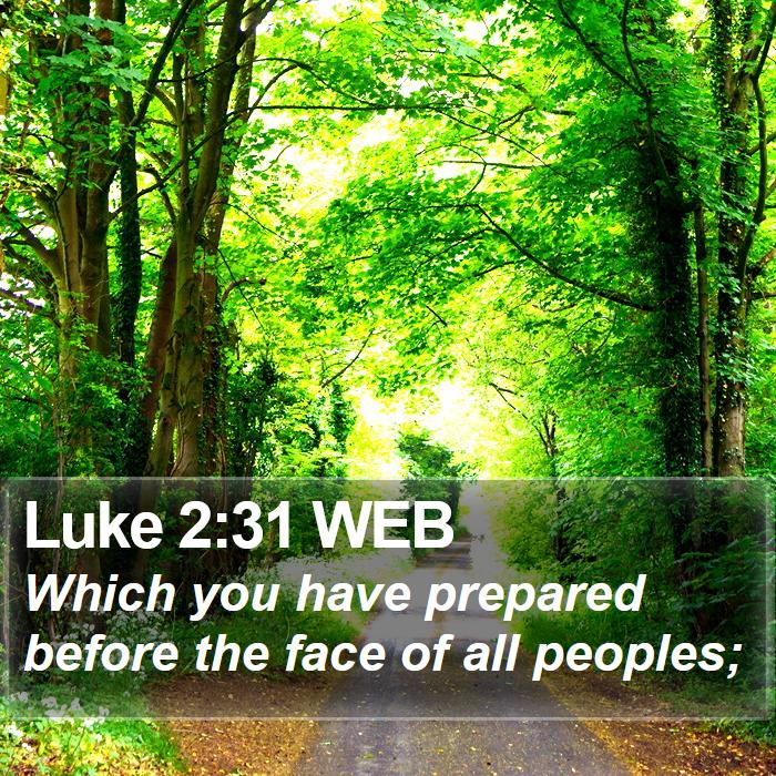 Luke 2:31 WEB Bible Study