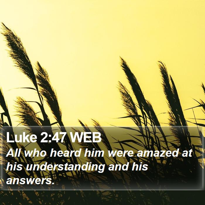 Luke 2:47 WEB Bible Study