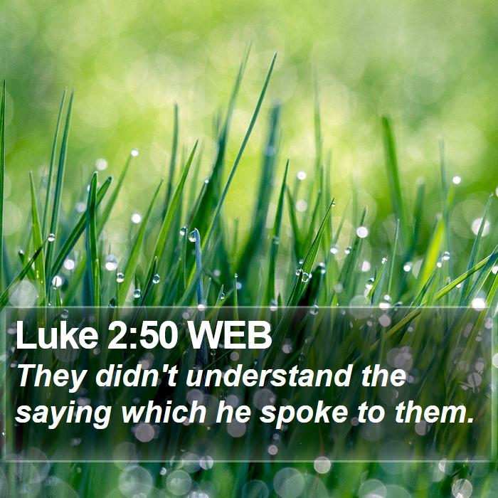 Luke 2:50 WEB Bible Study