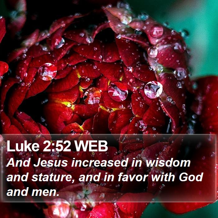 Luke 2:52 WEB Bible Study