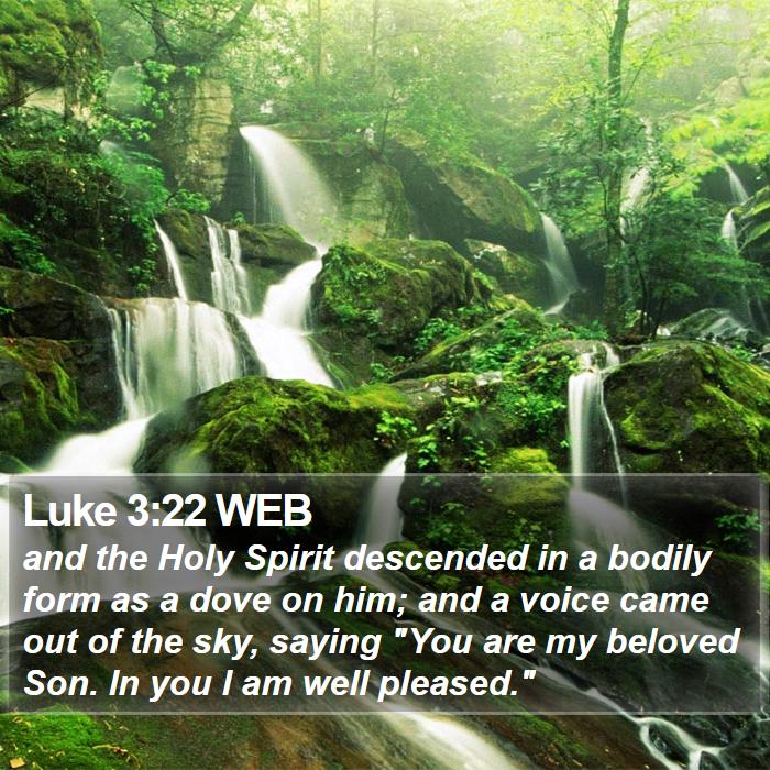 Luke 3:22 WEB Bible Study