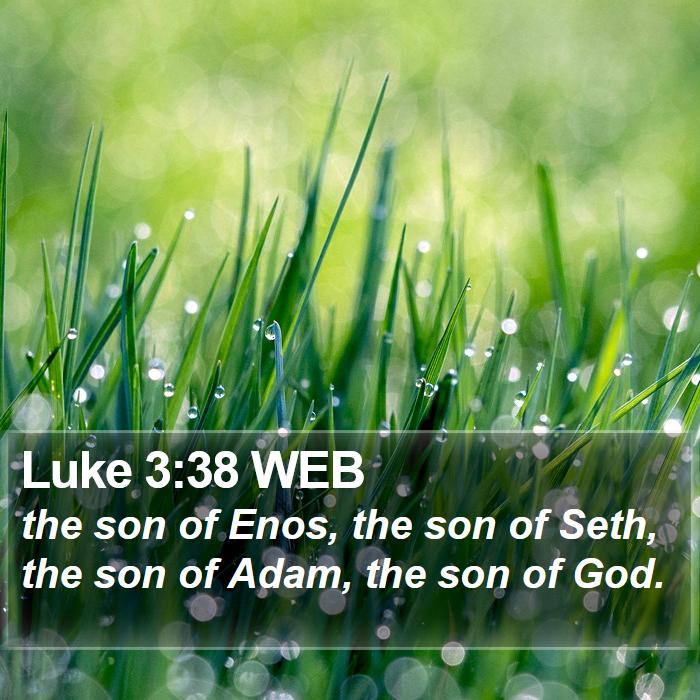 Luke 3:38 WEB Bible Study