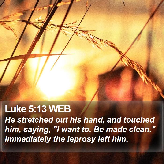 Luke 5:13 WEB Bible Study