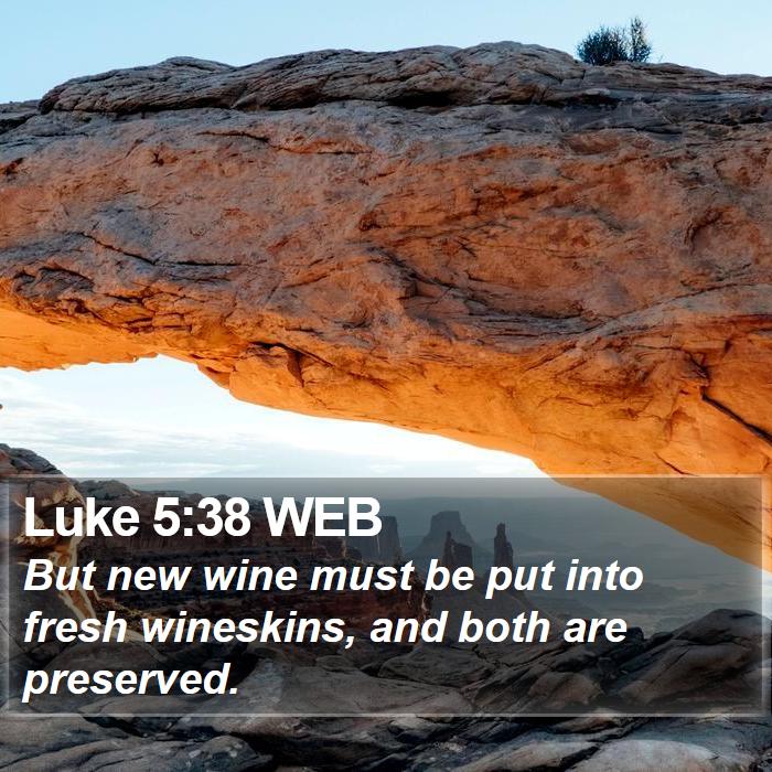 Luke 5:38 WEB Bible Study