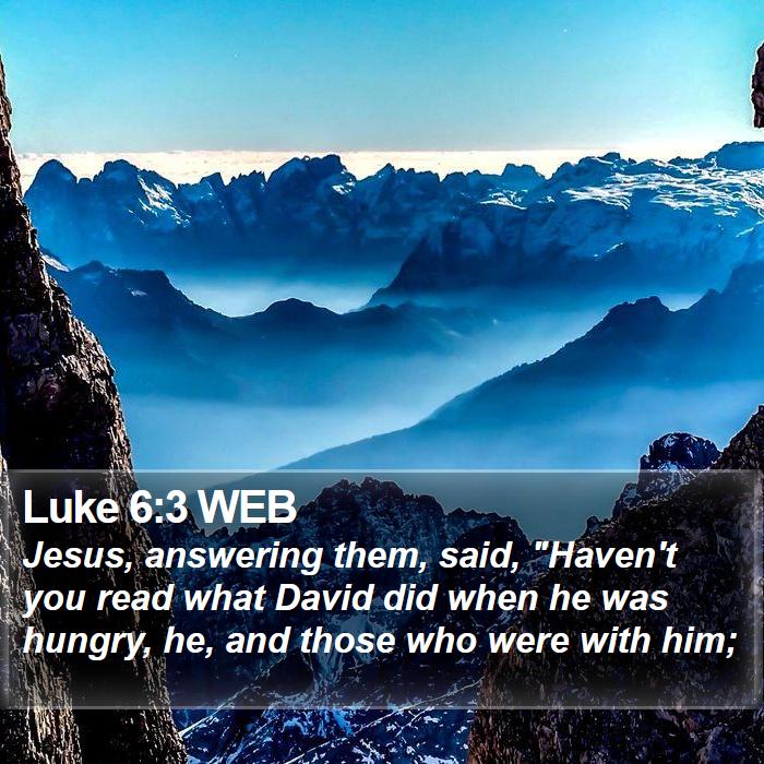 Luke 6:3 WEB Bible Study