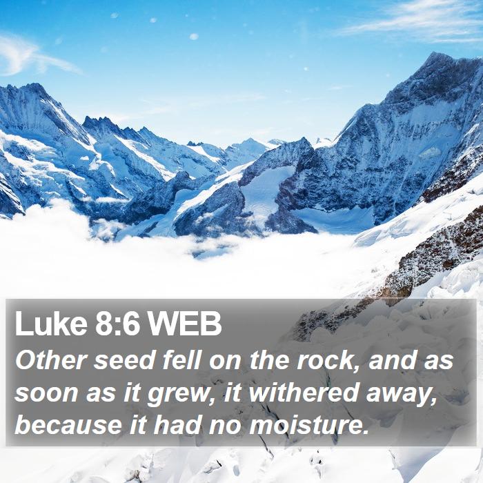 Luke 8:6 WEB Bible Study