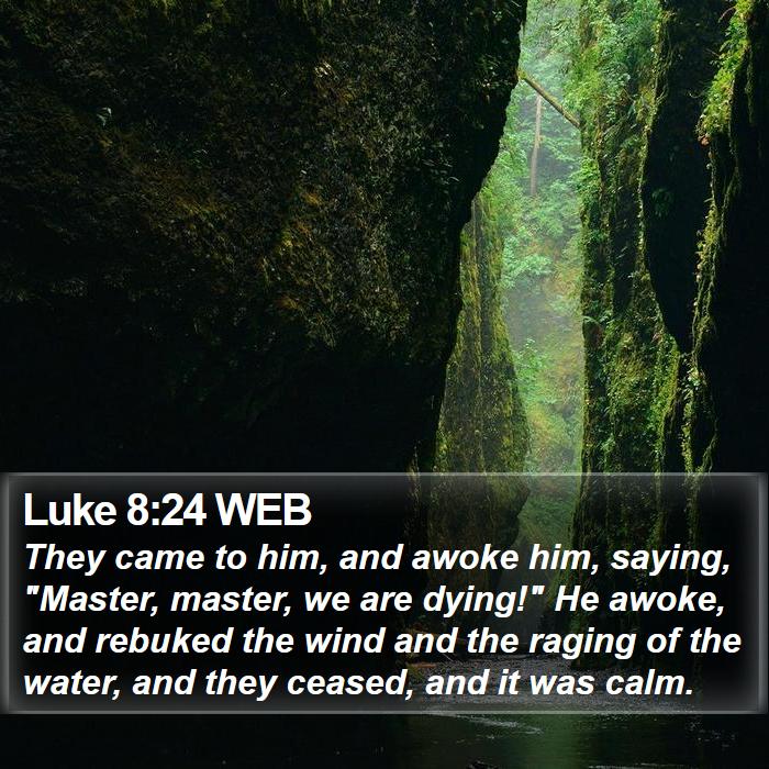 Luke 8:24 WEB Bible Study