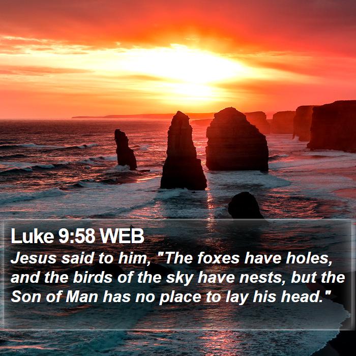 Luke 9:58 WEB Bible Study