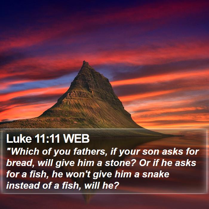 Luke 11:11 WEB Bible Study