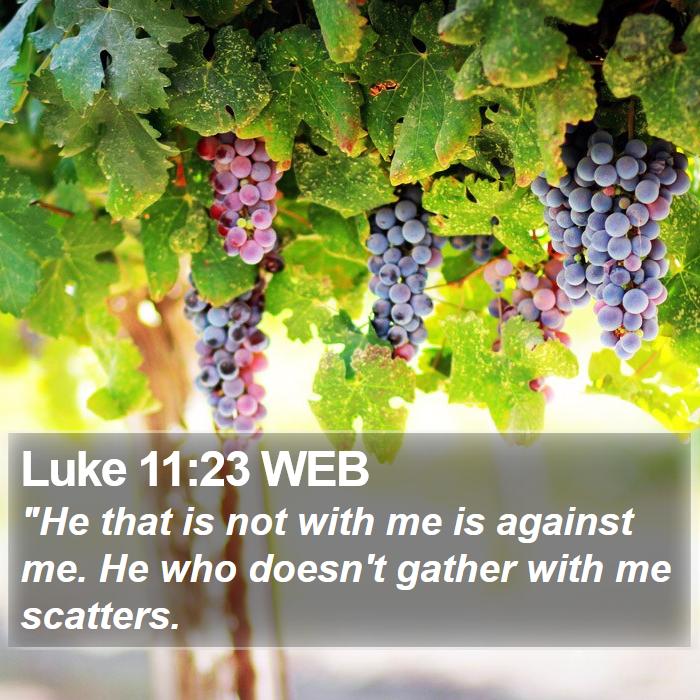 Luke 11:23 WEB Bible Study