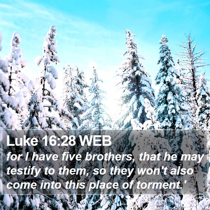 Luke 16:28 WEB Bible Study