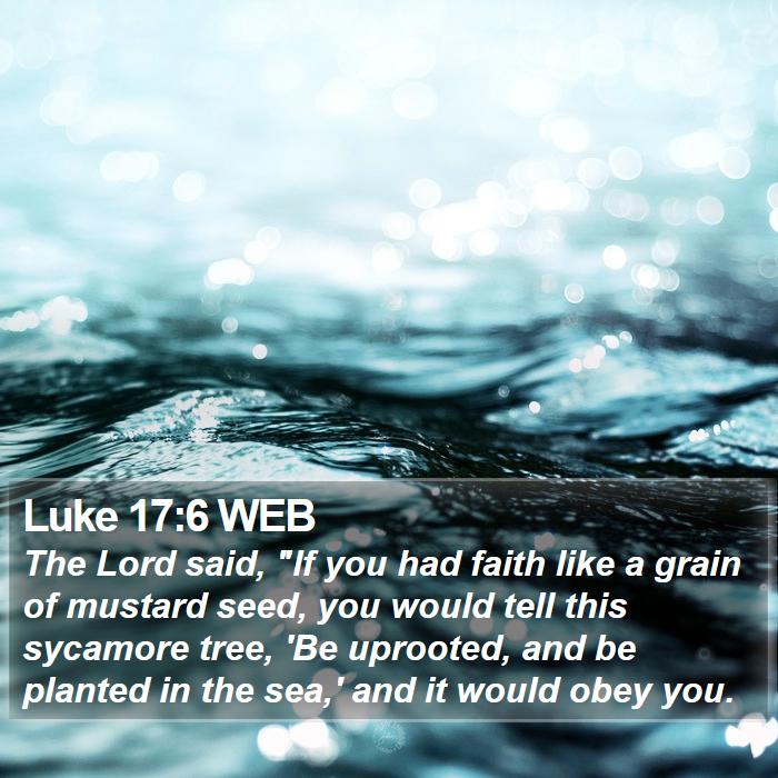 Luke 17:6 WEB Bible Study