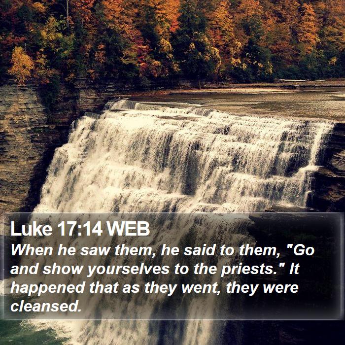 Luke 17:14 WEB Bible Study