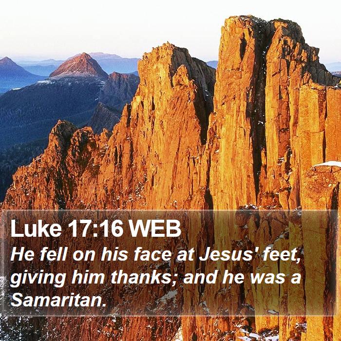 Luke 17:16 WEB Bible Study