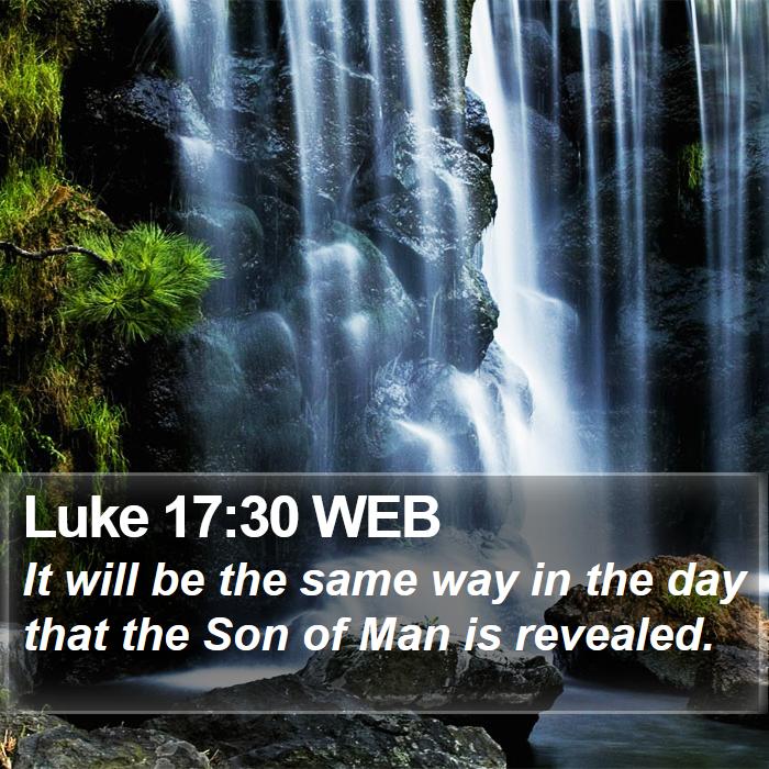 Luke 17:30 WEB Bible Study