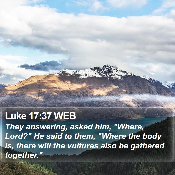 Luke 17:37 WEB Bible Study