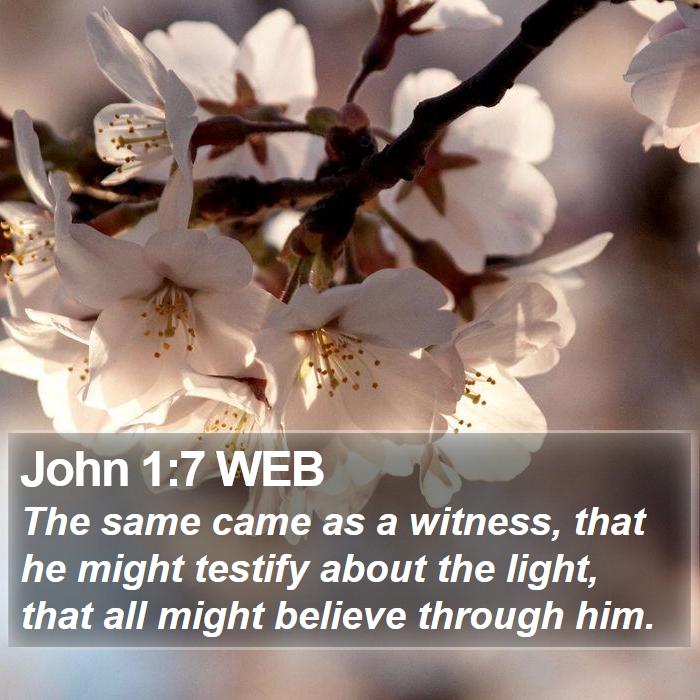 John 1:7 WEB Bible Study