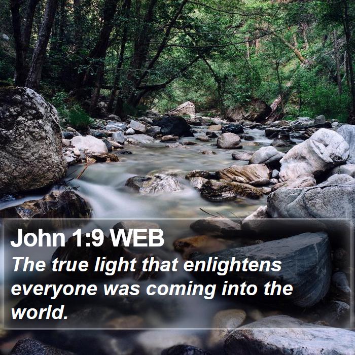 John 1:9 WEB Bible Study