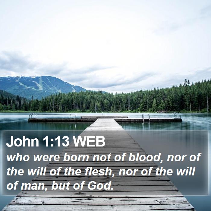 John 1:13 WEB Bible Study