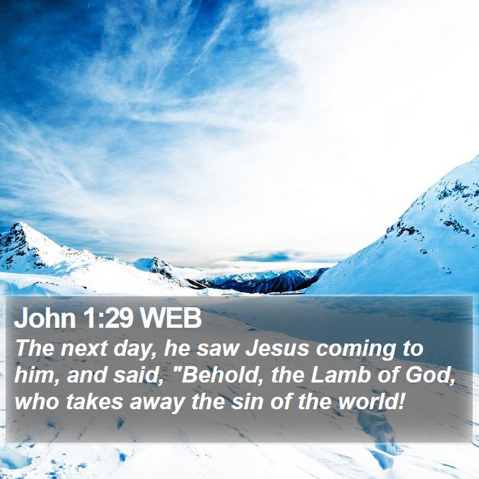 John 1:29 WEB Bible Study