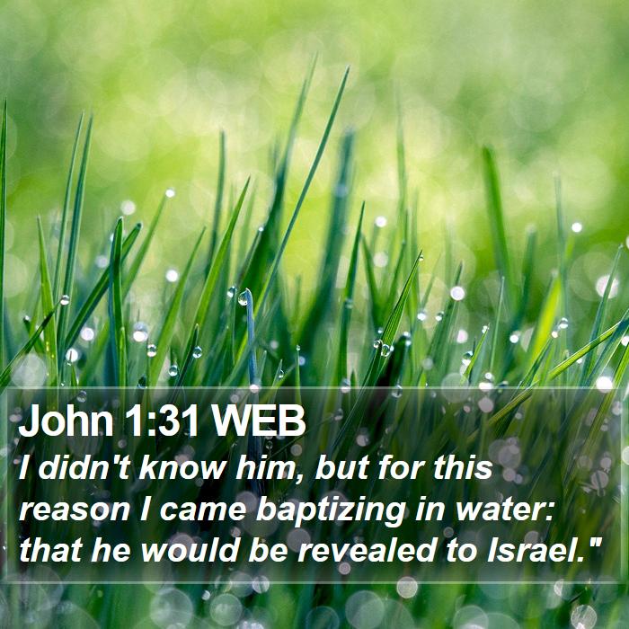 John 1:31 WEB Bible Study