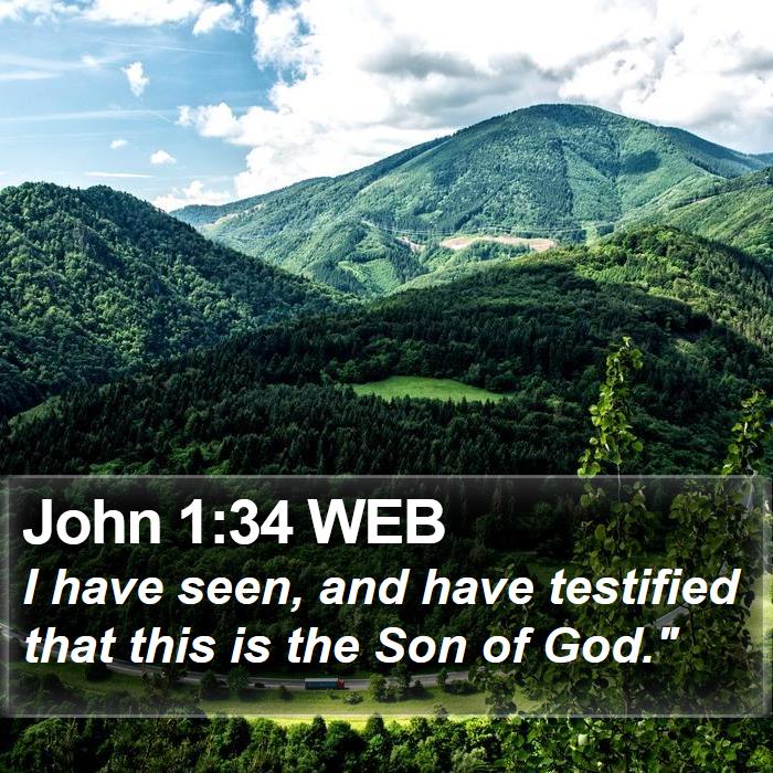 John 1:34 WEB Bible Study