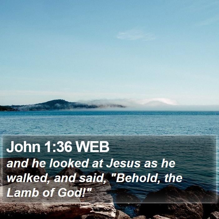 John 1:36 WEB Bible Study