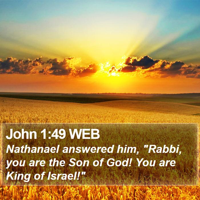 John 1:49 WEB Bible Study