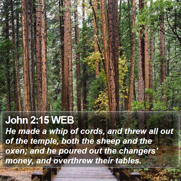 John 2:15 WEB Bible Study