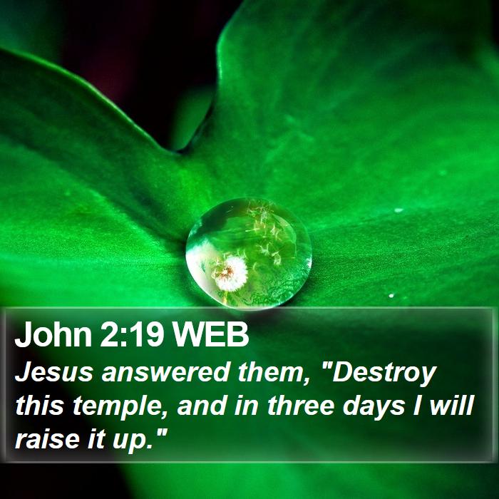 John 2:19 WEB Bible Study