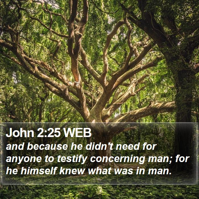 John 2:25 WEB Bible Study