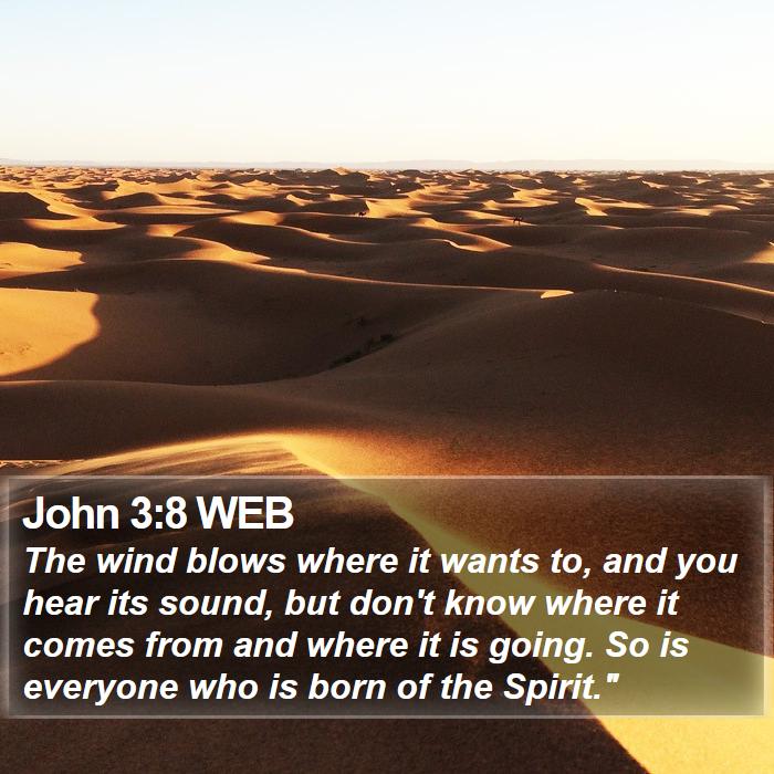 John 3:8 WEB Bible Study