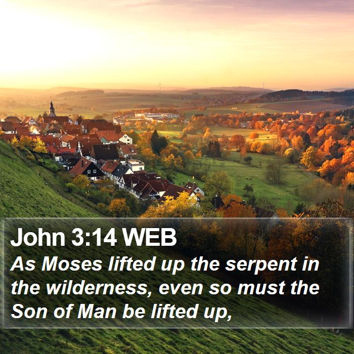 John 3:14 WEB Bible Study