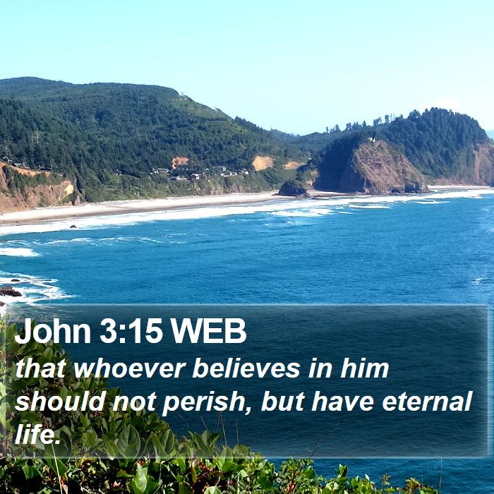 John 3:15 WEB Bible Study