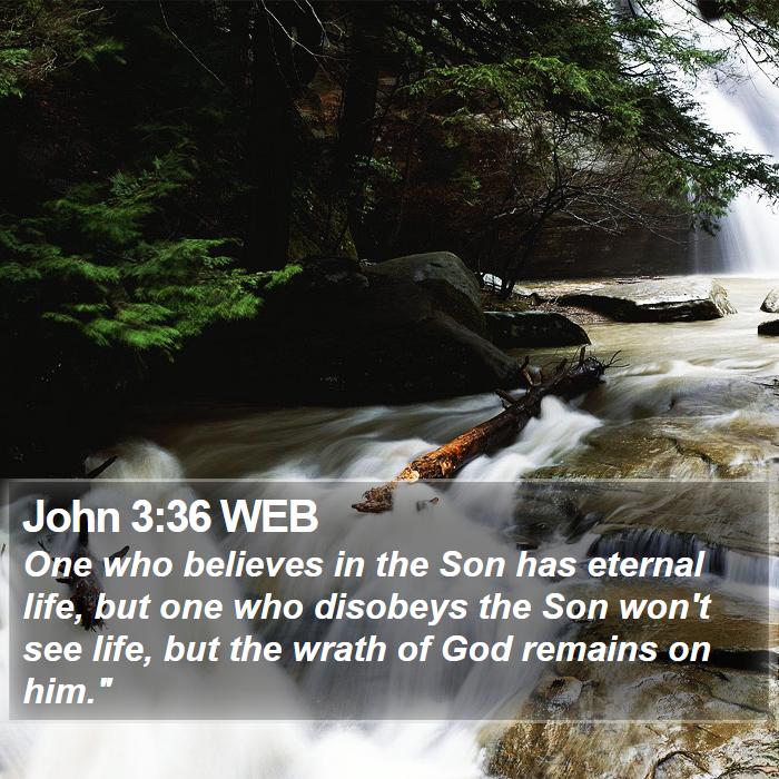 John 3:36 WEB Bible Study