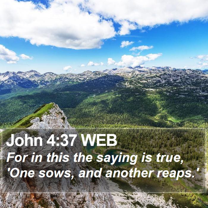 John 4:37 WEB Bible Study