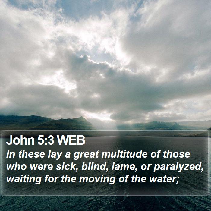 John 5:3 WEB Bible Study